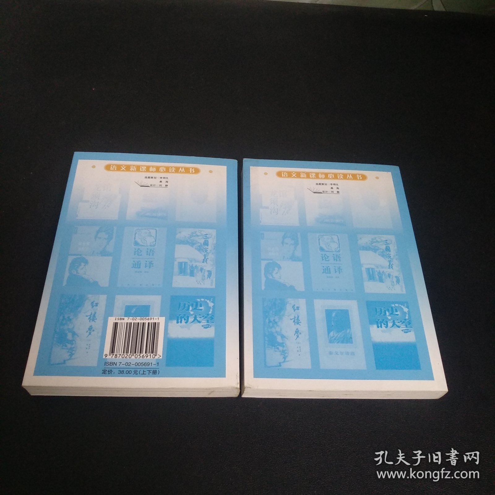 语文新课标必读丛书：堂吉诃德（上下）修订版