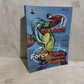 力：绘画人体解剖