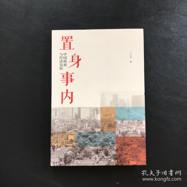 置身事内：中国政府与经济发展（罗永浩、刘格菘、张军、周黎安、王烁联袂推荐，复旦经院“毕业课”）