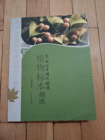 植物标本精选（黑龙江省博物馆藏）
品相自鉴！以图为准！售后不退不换！