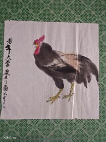打蔫公鸡