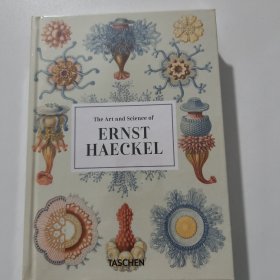 Ernst Haeckel 恩斯特海克尔 自然生物插画绘画 英文原版