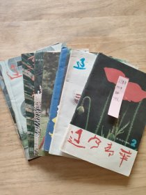 辽宁青年1991年8本