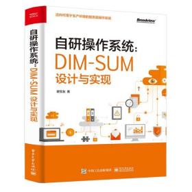 自研操作系统：DIM-SUM设计与实现(博文视点出品)