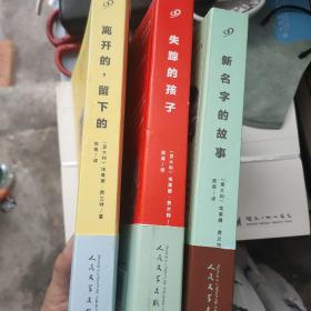 那不勒斯四部曲：离开的，留下的，失踪的孩子，新名字的故事，