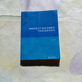 战略性新兴产业技术创新的空间形态演化研究