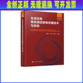 生活垃圾高效清洁发电关键技术与系统 黄群星，严建华，李晓东等编著 化学工业出版社