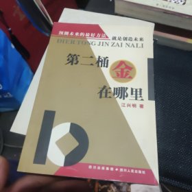 第二桶金在哪里