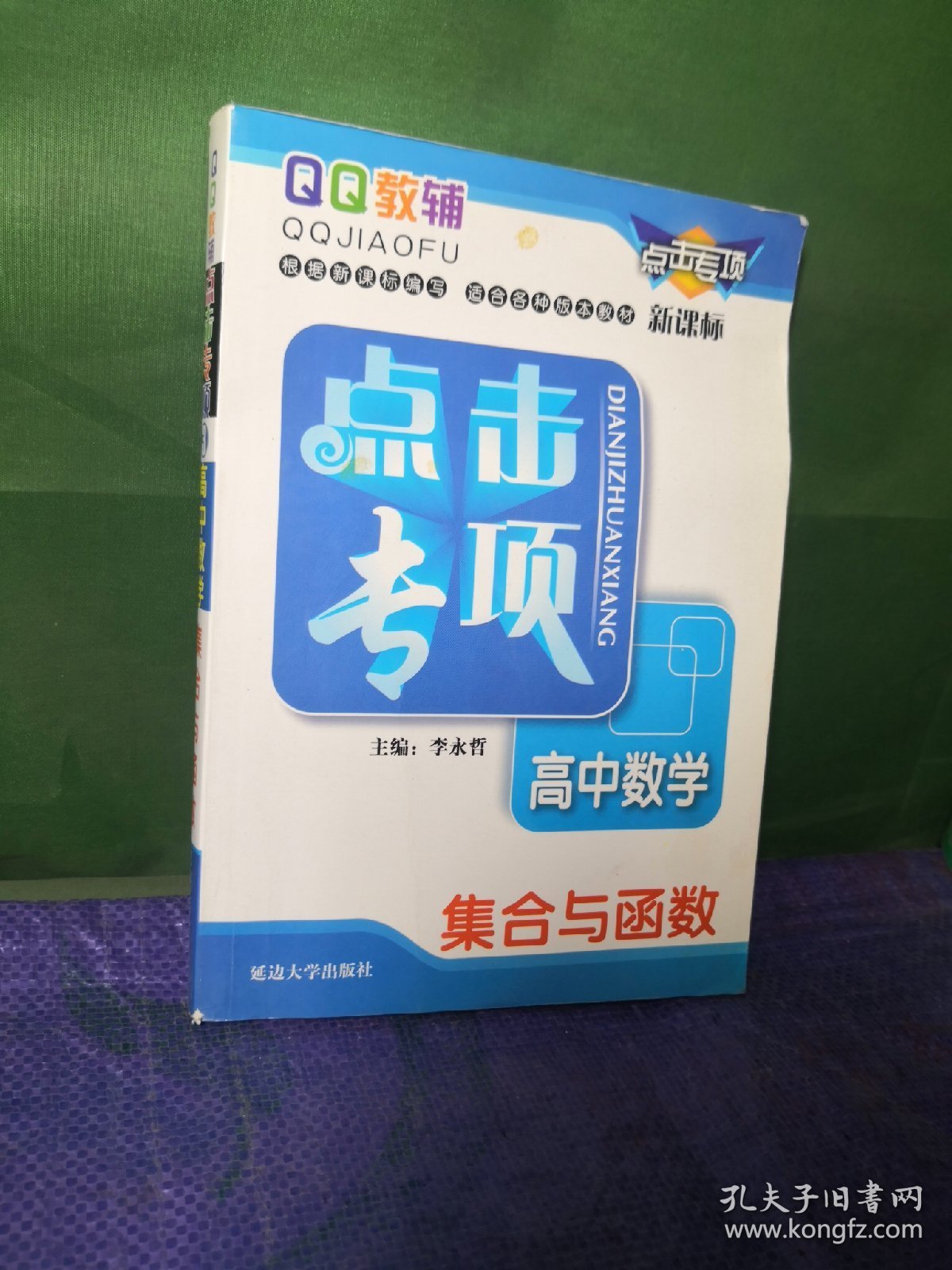 点击专项高中数学集合与函数（第三次修订）