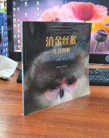 滇金丝猴生活图解
