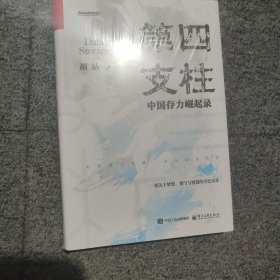 第四支柱 中国存力崛起录
