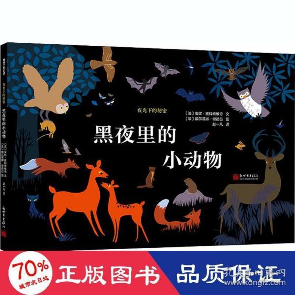 夜光下的秘密系列：黑夜里的小动物夜行动物图鉴蒲蒲兰绘本