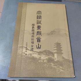 大隋河东郡首山栖岩道场舍利塔之碑碑帖