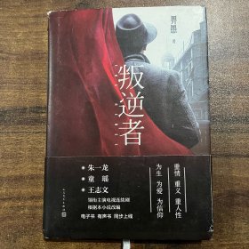 叛逆者（畀愚小说集，朱一龙领衔主演电视剧原著小说）