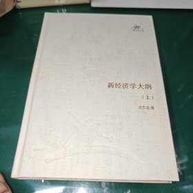 新经济学大纲（上下）