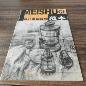 基础美术强化训练丛书：设计素描静物范本16