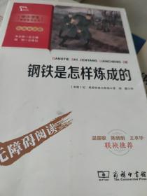 钢铁是怎样炼成的 八年级下册推荐阅读(中小学生课外阅读指导丛书)彩插无障碍阅读 智慧熊图书