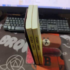 走过路过，不要错过（一版一印）张天舒心理学文集
