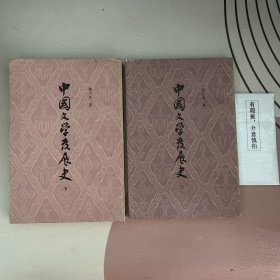 中国文学发展史（上 下）（缺中）