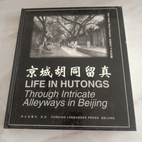 京城胡同留真：Through Intricate Alleyways in Beijing
