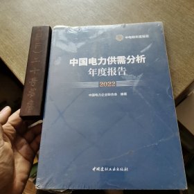 中国电力供需分析年度报告2022