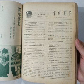 中国青年1981 13-24