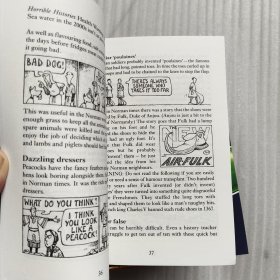 HORRIBLE HISTORIES （20册和售）