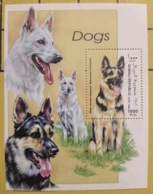 全新收藏犬类邮票狗类邮票小型张索马里邮票1999年动物名犬宠物狗生肖狗小型张 包邮不议价喽！偏远地区不包邮，满百有礼物送！
