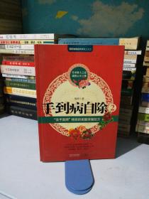 手到病自除2：“圣手医师”杨奕的家庭保健处方(附赠:标准足部反射区、耳部反射区挂图)