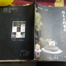 指尖上的艺术 之 创艺盘饰