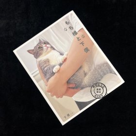 猫咪写真集「もち様と下僕 」 もちまる日記 网红猫