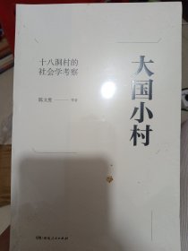 大国小村(十八洞村的社会学考察)