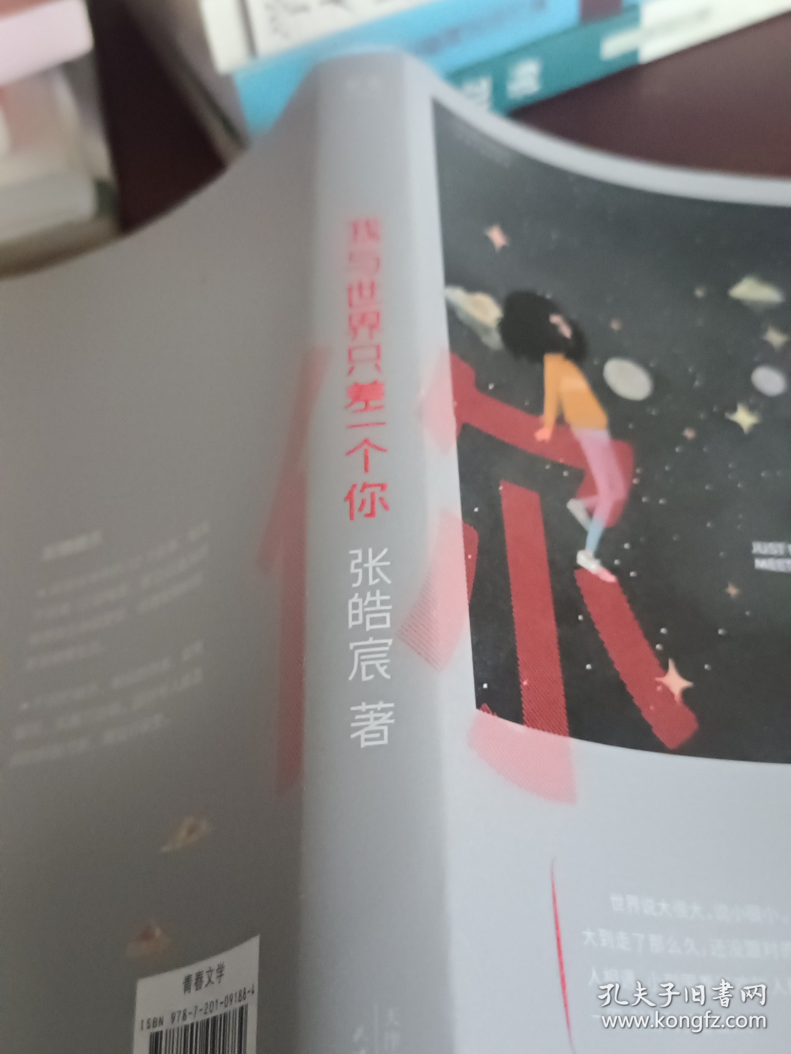 我与世界只差一个你