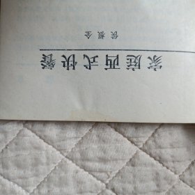 家庭西式快餐