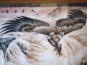 谭乐丹大展宏图之雄鹰展翅