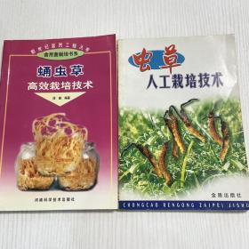 虫草人工栽培技术。蛹虫草高效栽培技术（两本合售）