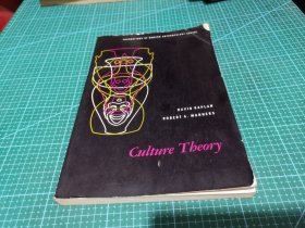 Culture Theory 文化理论 英文