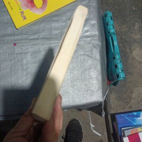 寻找索马里海盗
