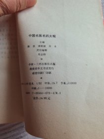 中国名医名药大观