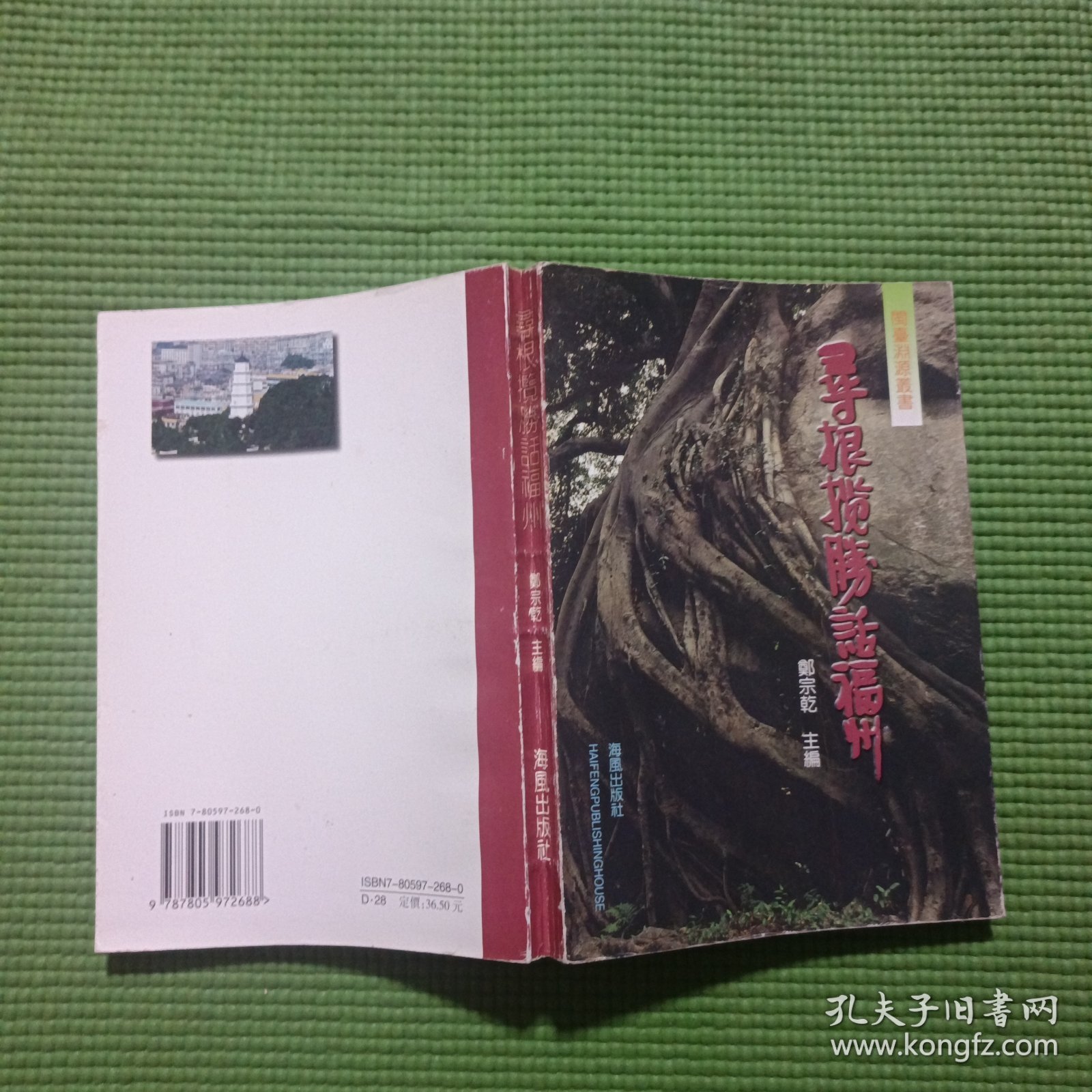 闽台渊源丛书:寻根揽胜话福州