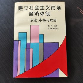 建立社会主义市场经济体制:企业、市场与政府