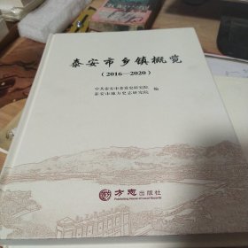 泰安市乡镇概览（2016-—2020）