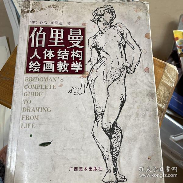 伯里曼人体结构绘画教学