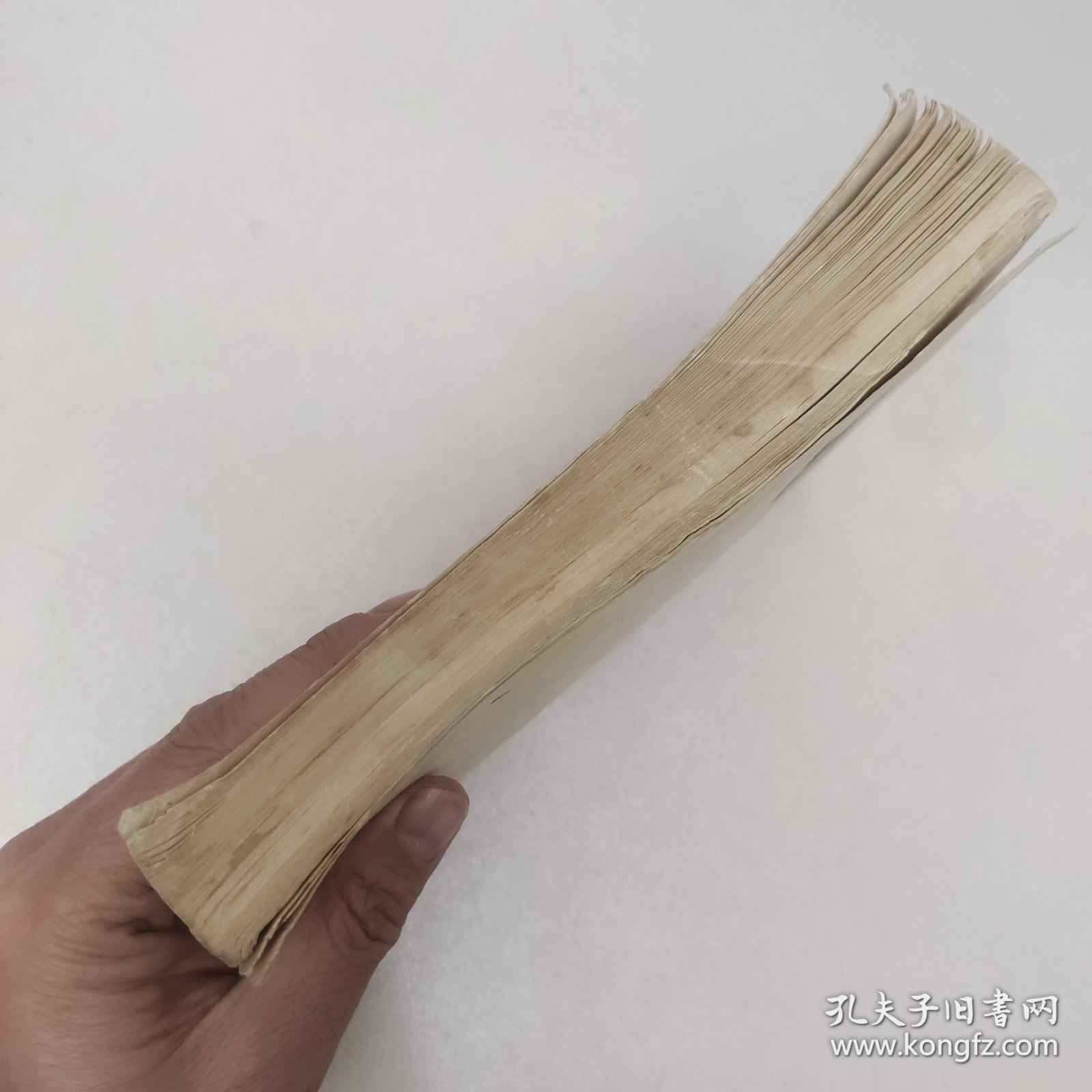 阿芒得骑士
