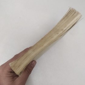 阿芒得骑士