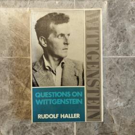 Questions on Wittgenstein 维特根斯坦