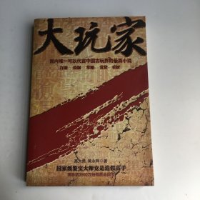 大玩家：国内唯一可以代言中国古玩界的长篇小说