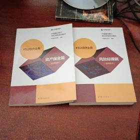 中国建设银行岗位资格培训教材：对公信贷业务资产保全篇.风险经理篇（教师用书）2本合售