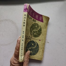 杨式太极拳:发劲、运气、练势