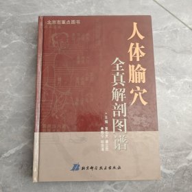 人体腧穴全真解剖图谱